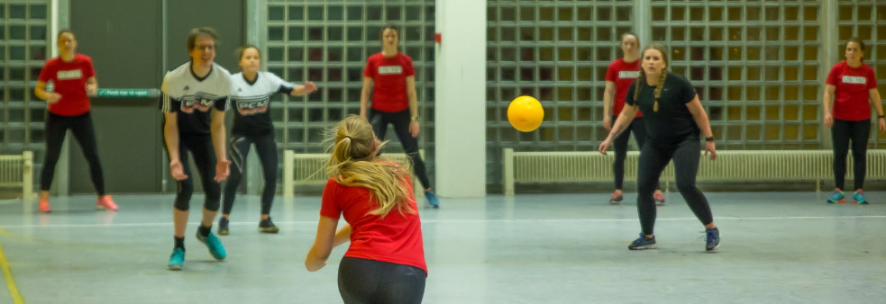 Steinkjer Bedriftskanonball